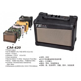 Amplificator GM 420 20 W